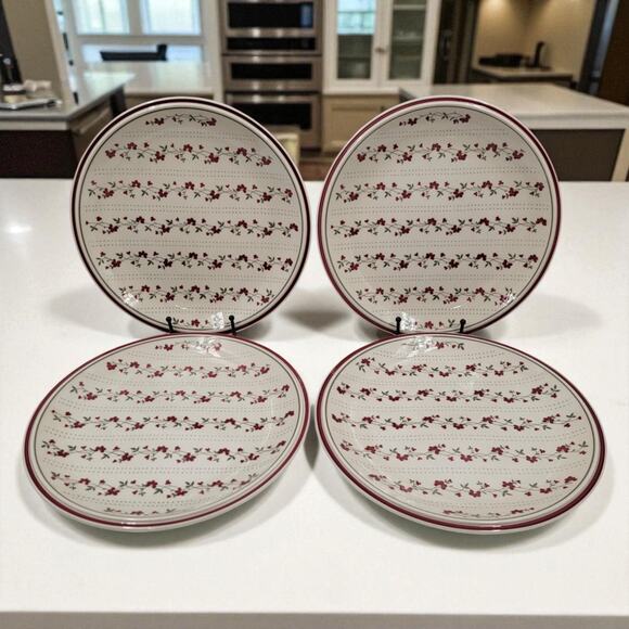 4 Newcor Regency Williamsburg Stoneware Dinner Plates Japan American Country - Picture 1 of 8